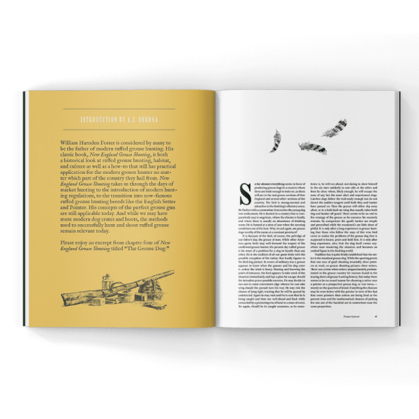New England grouse Shooting in a Magazine article