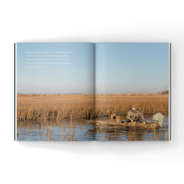 Volume 4 of Hunting Dog Confidential (Hardcover Book) - Image 15