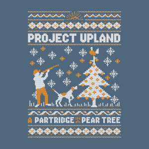 Close up of Partridge in a Pear tree artwork