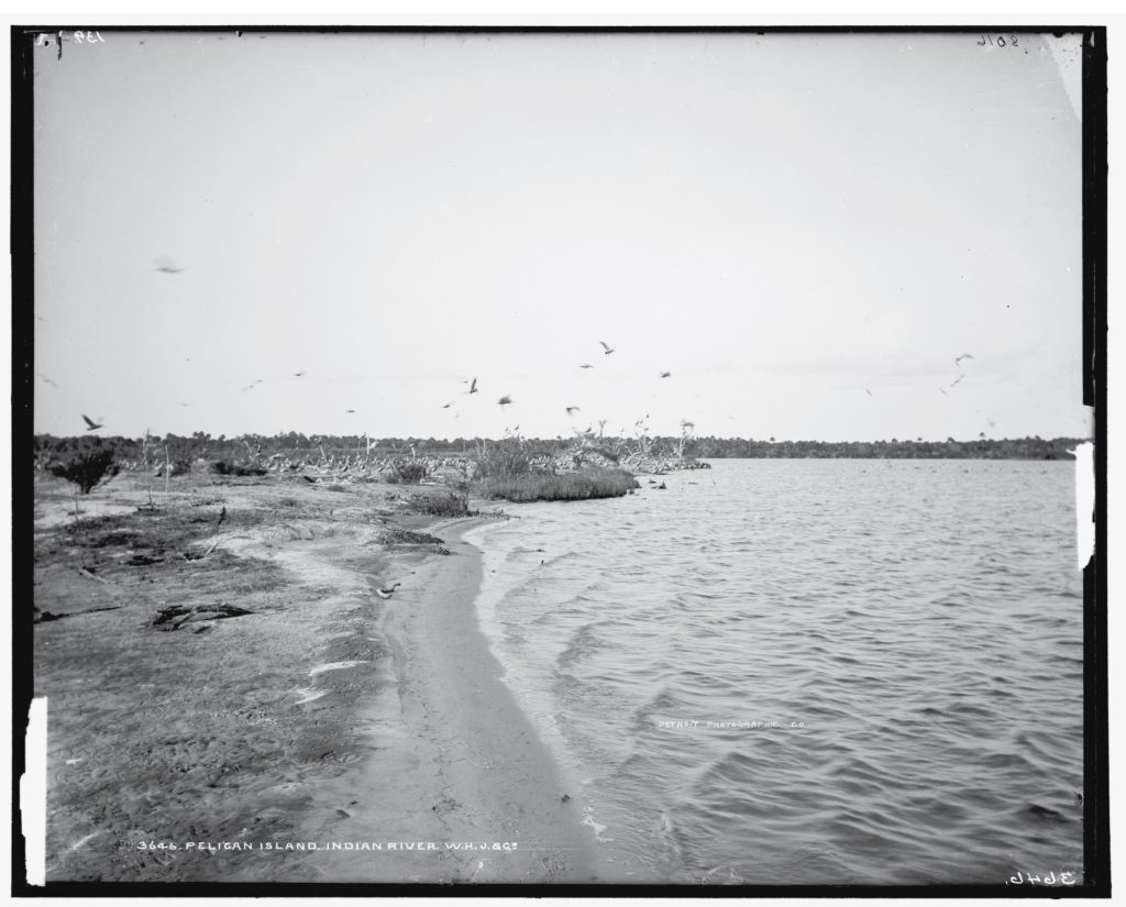 A vintage photo of Pelican Island in the 1880's