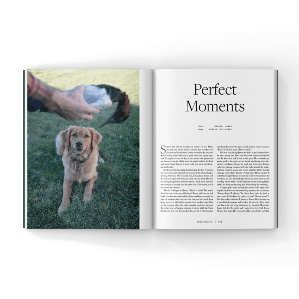 Volume 4 of Hunting Dog Confidential (Hardcover Book) - Image 16