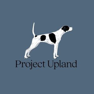 Pointer-Shirt-Design-Close-Up