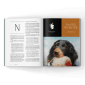 Pointing Dogs in a Magazine