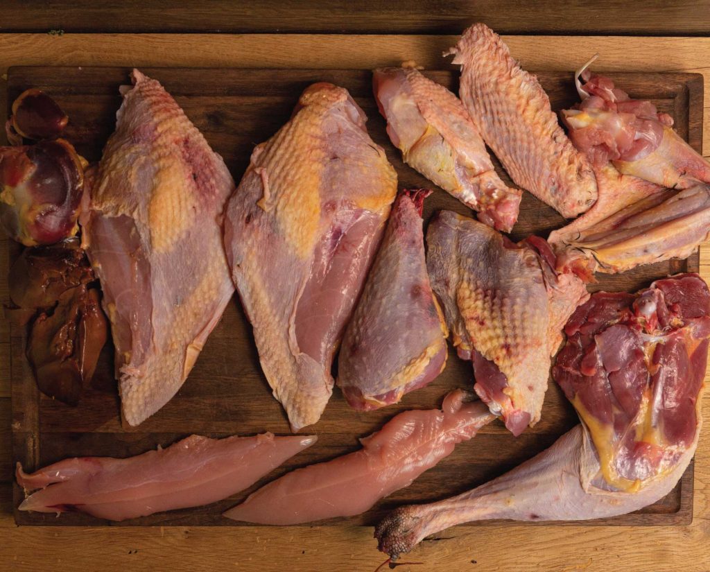 A fully butchered wild turkey with proper cuts