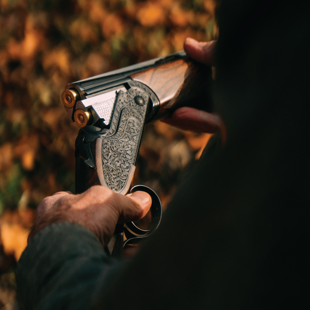 A man looks at a shotgun.