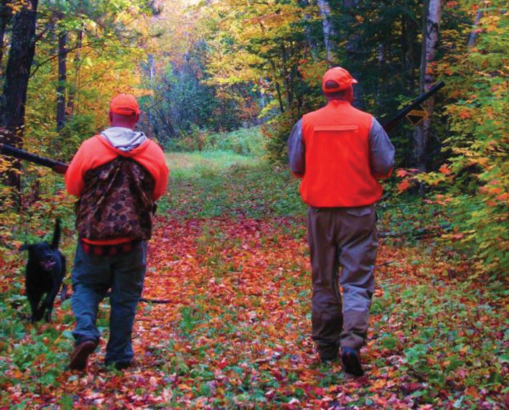 Ruffed grouse hunting in Missouri 