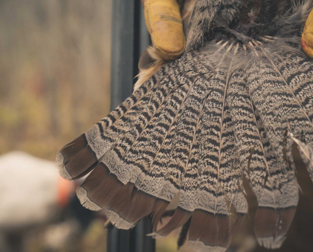 A successful ruffed grouse hunting in Wisconsin with a bird dog