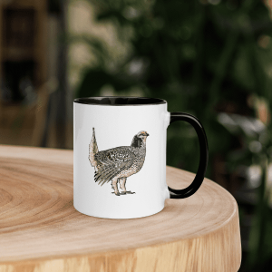 Sharp-tailed-grouse-mug-being-used A sharp-tailed grouse coffee mug being used for breakfast