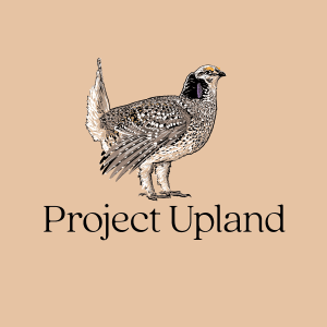 Sharptail-grouse-shirt-design Close up of sharptail grouse shirt design