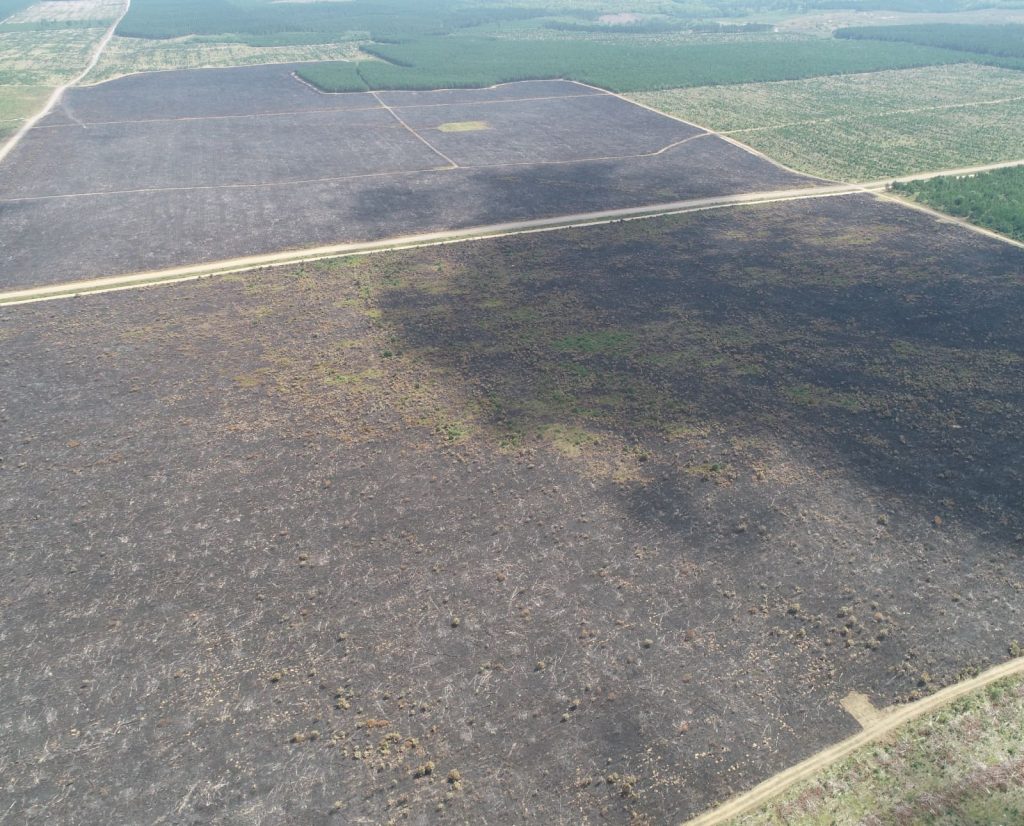 An area of wisconsin after fire was used to create habitat