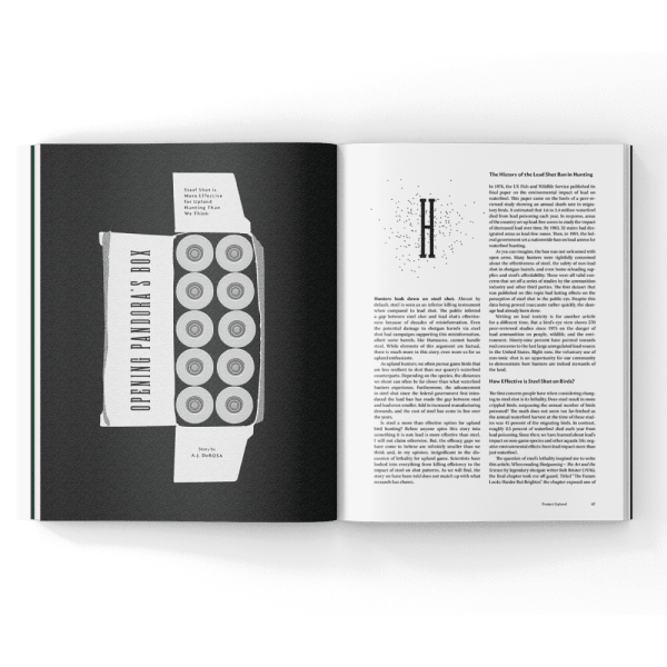 steel shot ballistics in a magazine