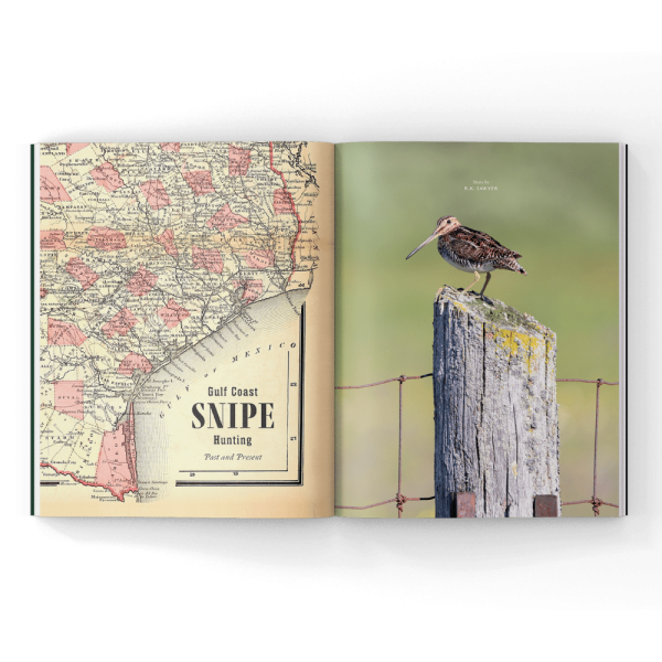 Snipe hunting in a magazine