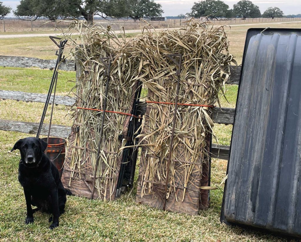Snipe hunting blind