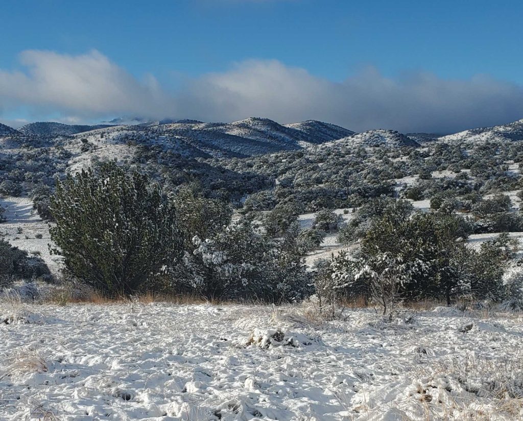 Mearns quail habitat blanked in snow in Arizona 