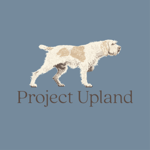 Spinone-Italiano-Design-CLose-Up close up of the Spinone dog design