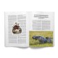 The-English-Setter-Through-the-Ages