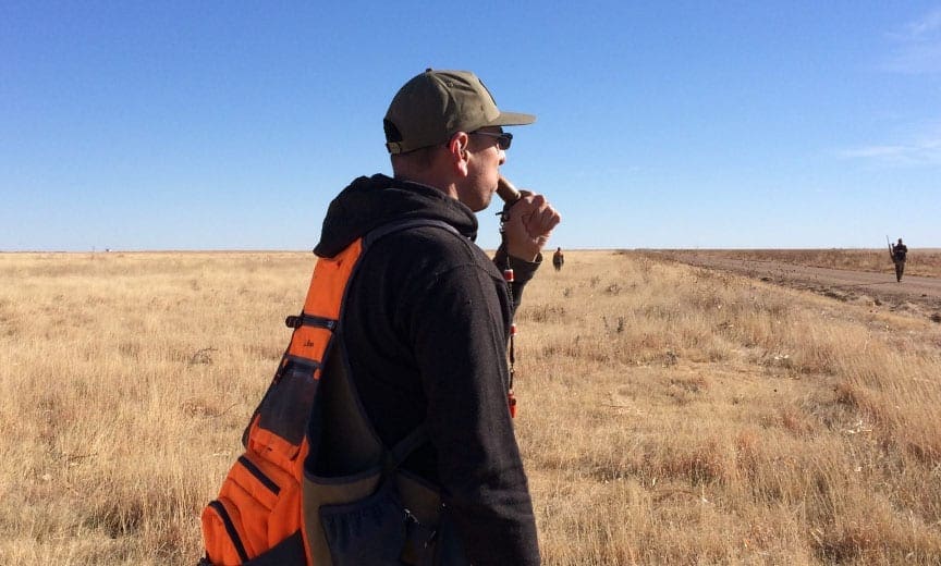 using a pheasant call