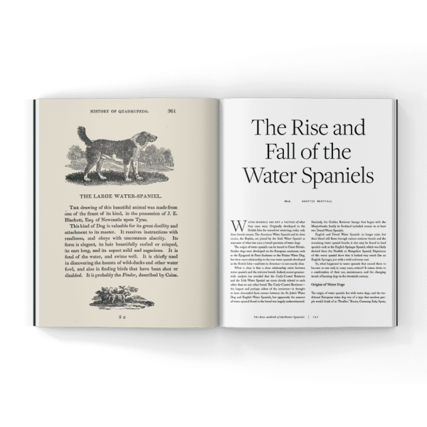 Volume 4 of Hunting Dog Confidential (Hardcover Book) - Image 3