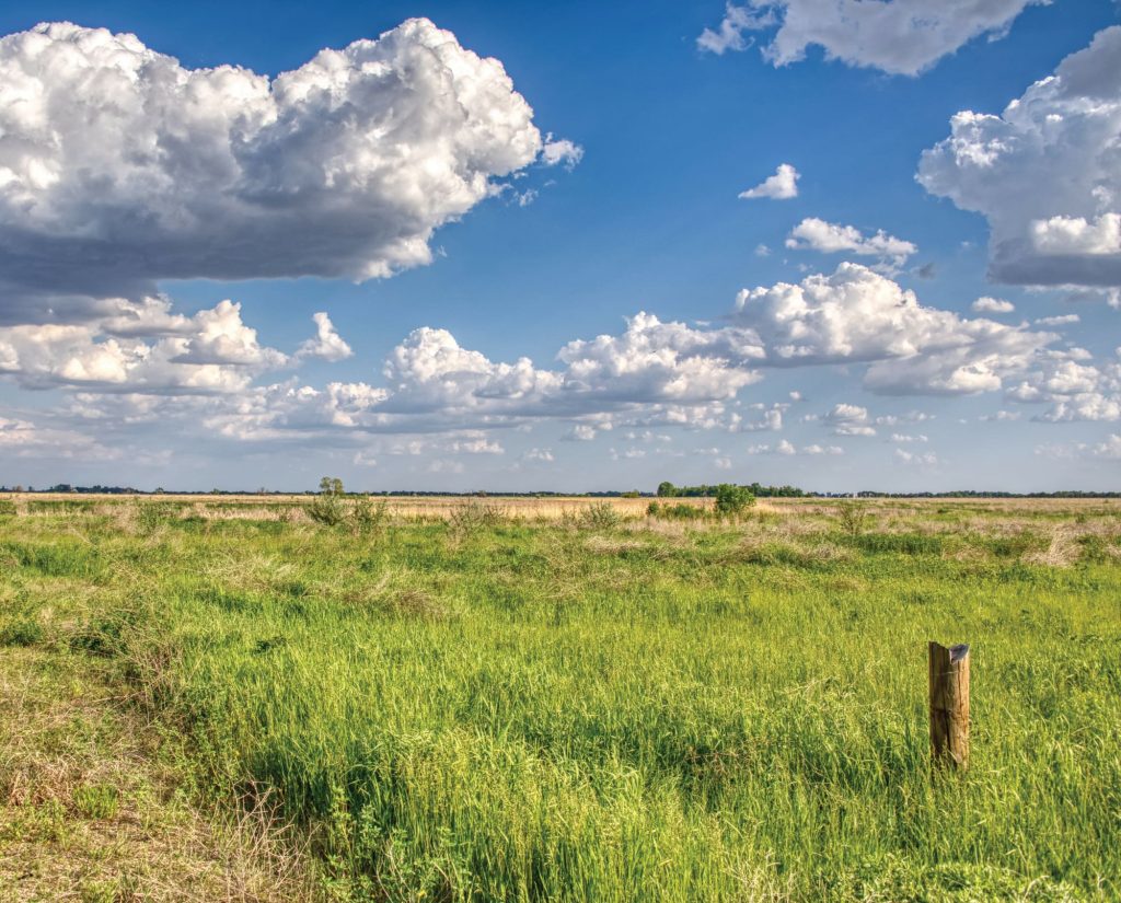 A Waterfowl Production Area in Minnesota