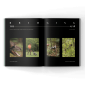 hunting dog training magazine