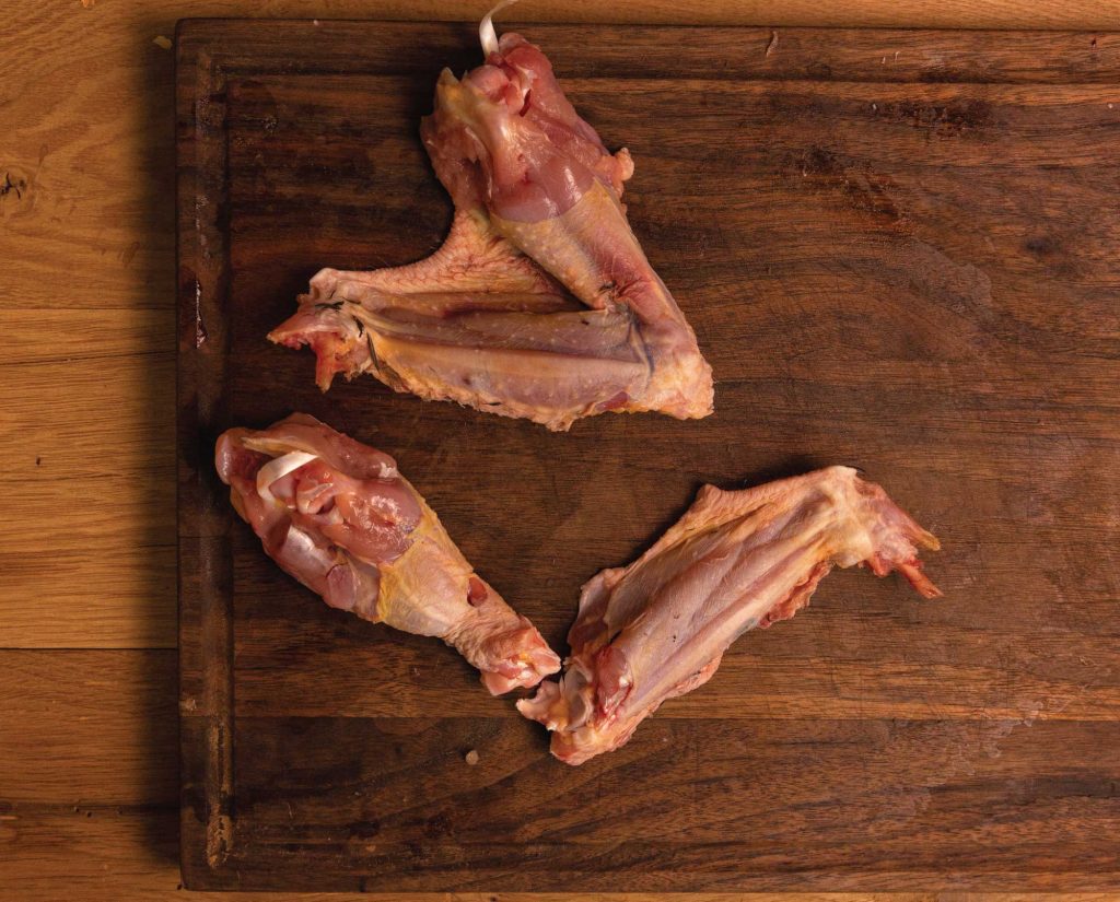 Wild turkey wings