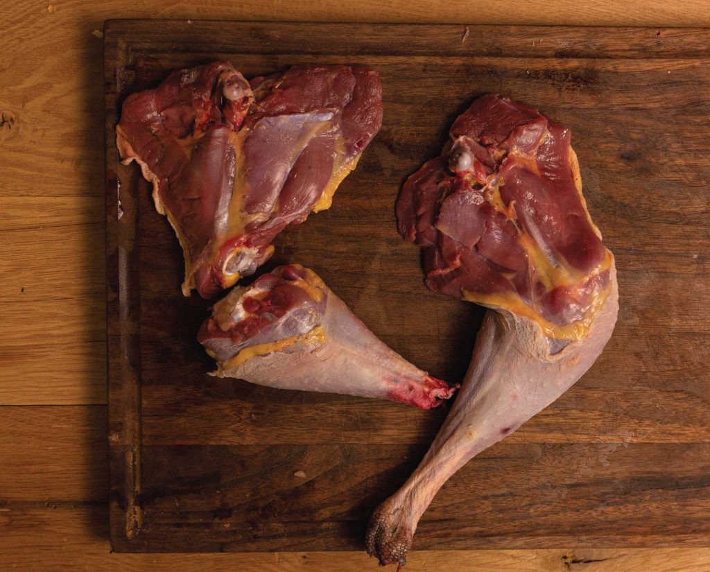 Wild turkey thighs and legs