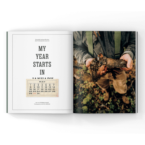 Woodcock hunting in a magazine