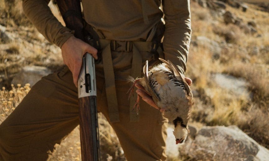 A chukar hunter using a Beretta A400