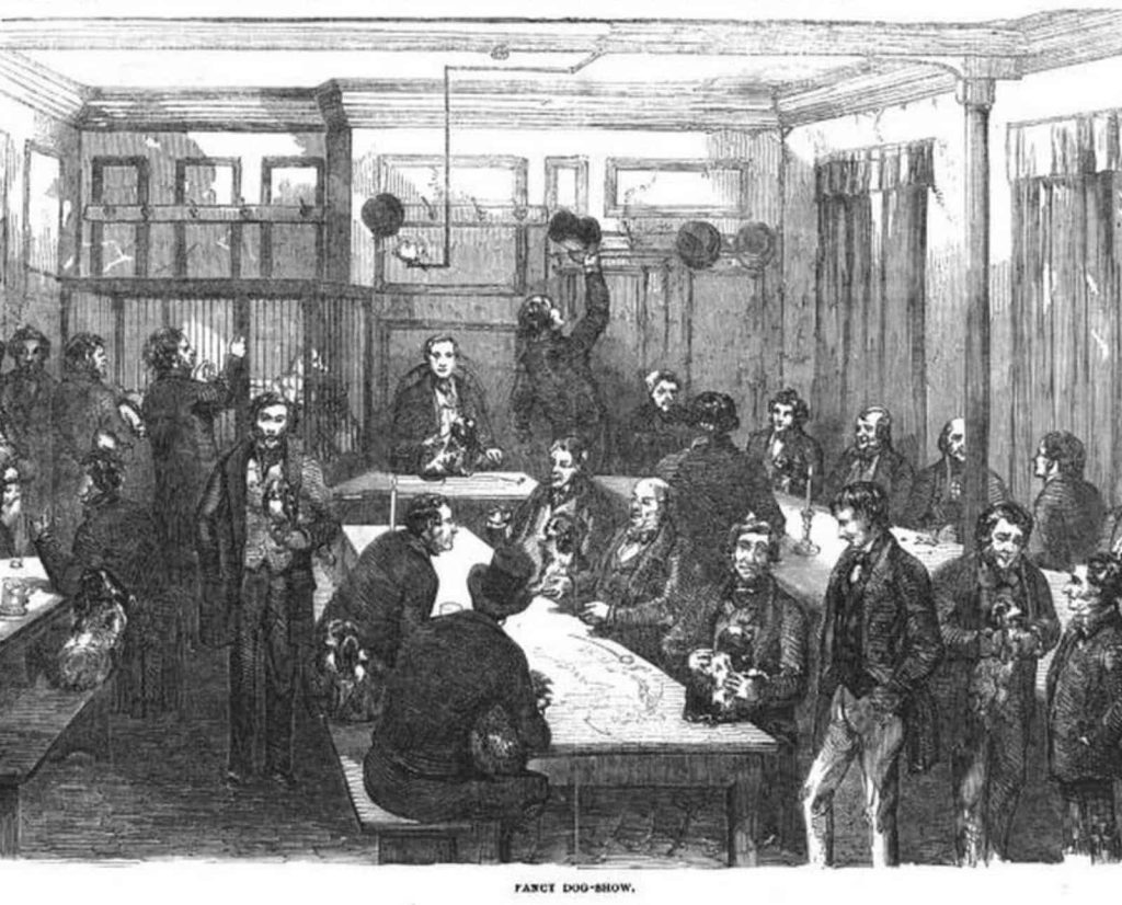 A fancy-dog show illustration from Illustrated London News in 1851.