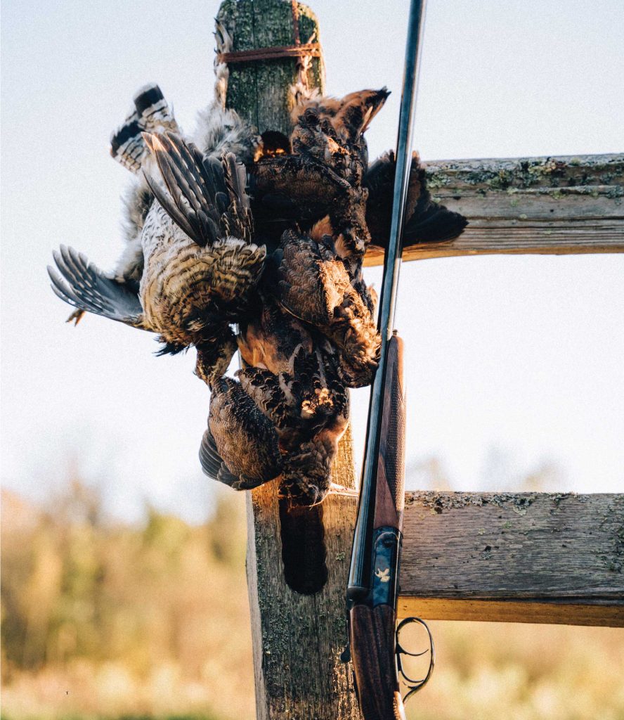 A grouse gun with 28 inch barrels after a successful grouse hunt