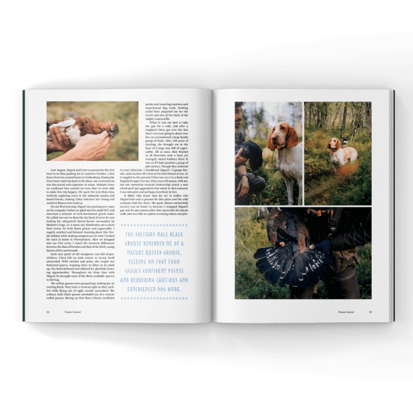 capercaillie hunting in a magazine