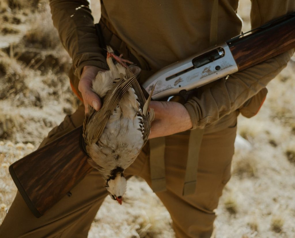 A chukar hunter holds a chukar he got while hunting.