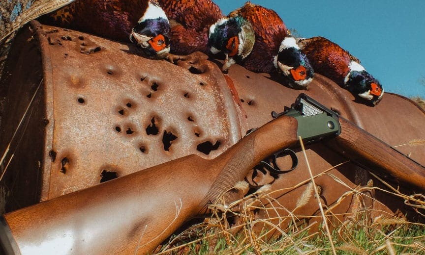A CZ Upland Ultralight on a pheasant hunt