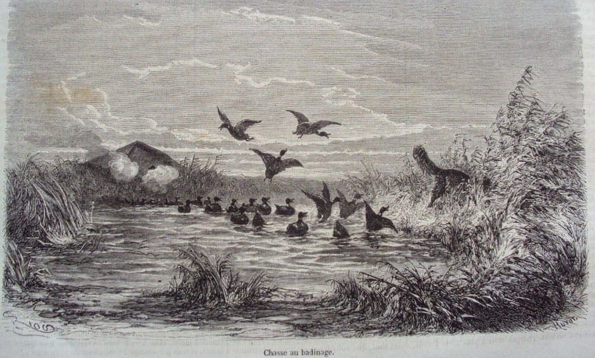 An old image of duck hunters using the duck tolling technique with a Nova Scotia Duck Tolling Retriever.