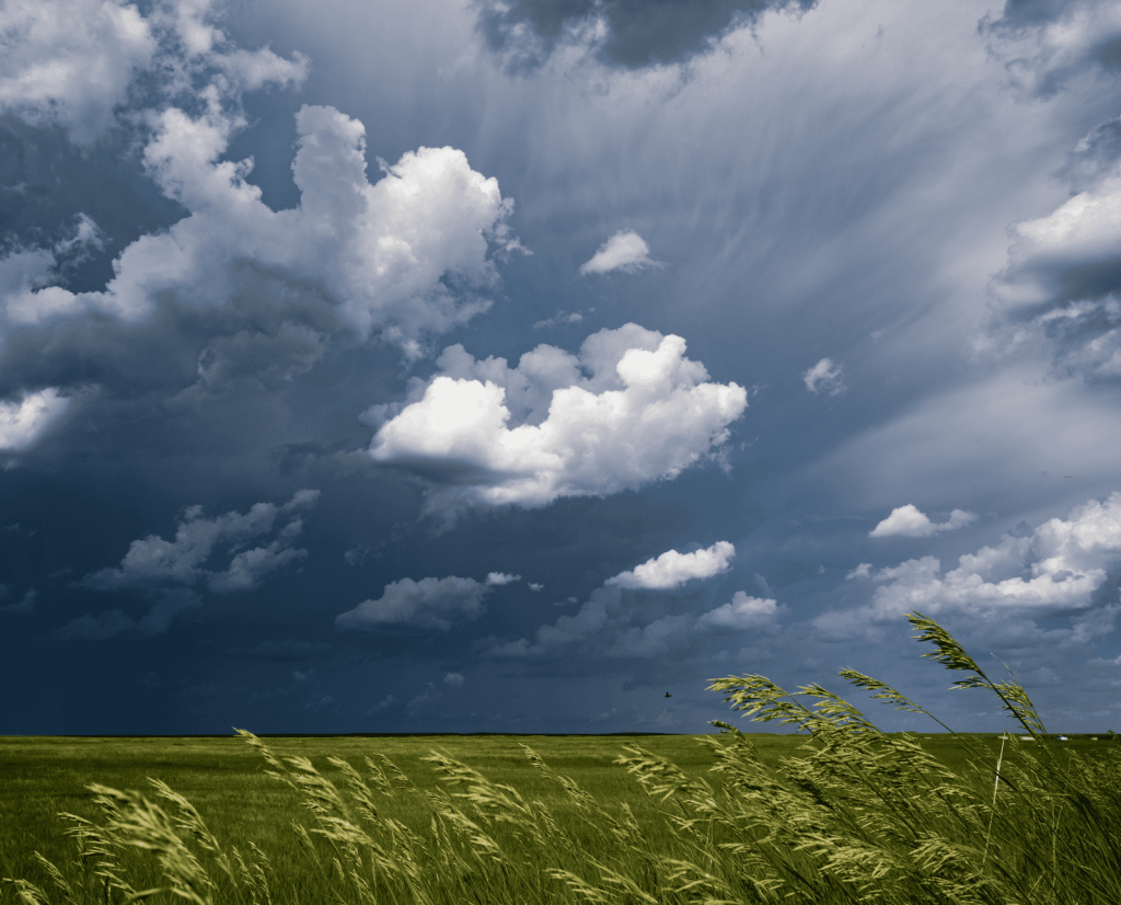 A rainstorm swells over a South Dakota prairie.