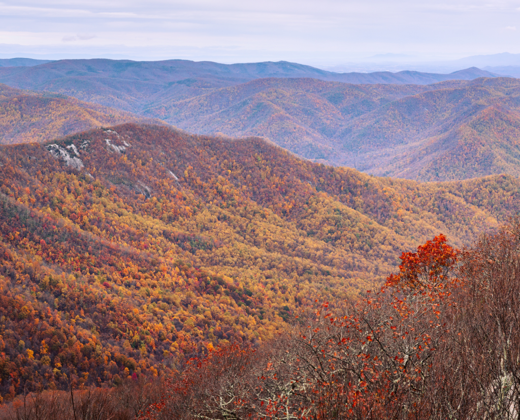 George Washington National Forest in fall.