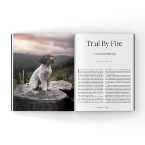 hunting-puppies-book