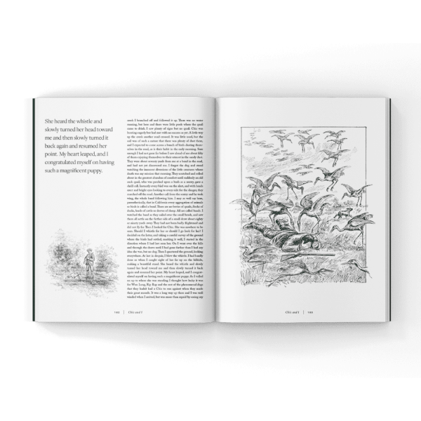 Volume 4 of Hunting Dog Confidential (Hardcover Book) - Image 13