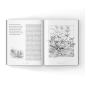old-bird-hunting-story-book