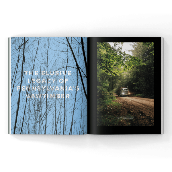 timber harvesting in PA in a magazine article