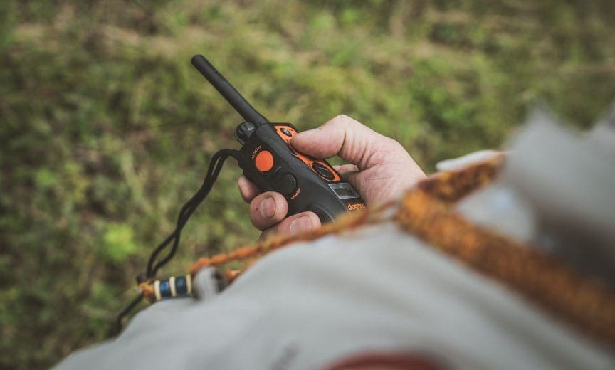 A trainer using the remote on an E-collar. 