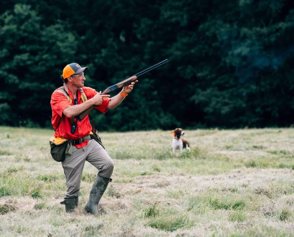 A man shoots a shotgun while training a Brittany.