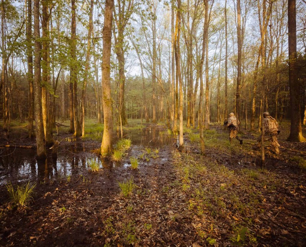 Two turkey hunters walk through a marshy woods in Mississippi.
