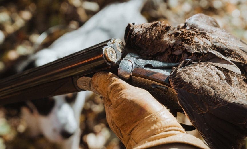 A bird hunter holds a woodcock next to his English setter.